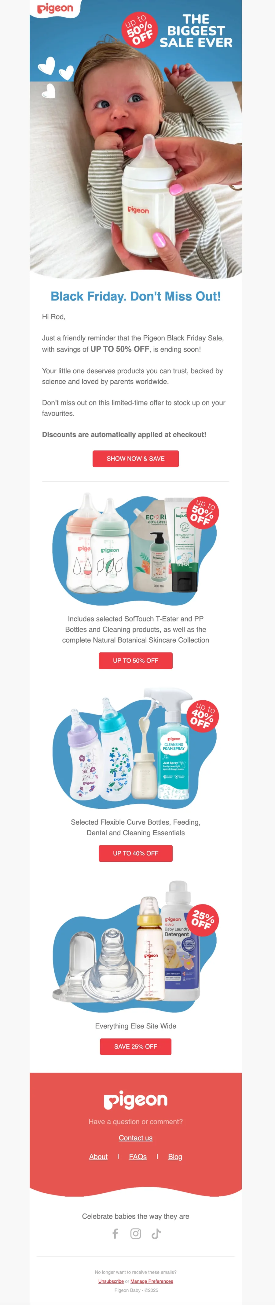 Pigeon email template